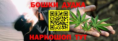 PSILOCYBIN Владимир