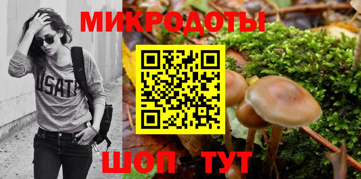Слободской  Псилоцибиновые грибы мицелий  Вход с VPN  Псилоцибиновые грибы GOLDEN TEACHER 